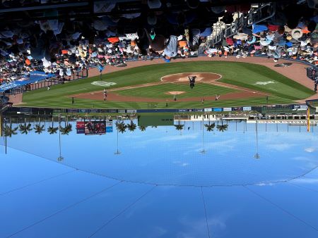 Take Me Out to the Ball Game!