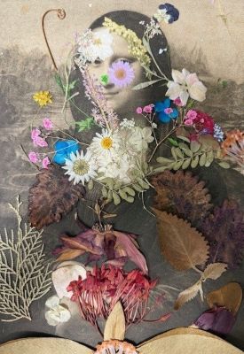 BRUCE HELANDER