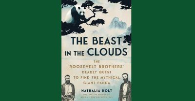 The Beast in the Clouds