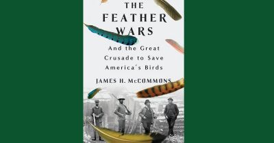 The Feather Wars